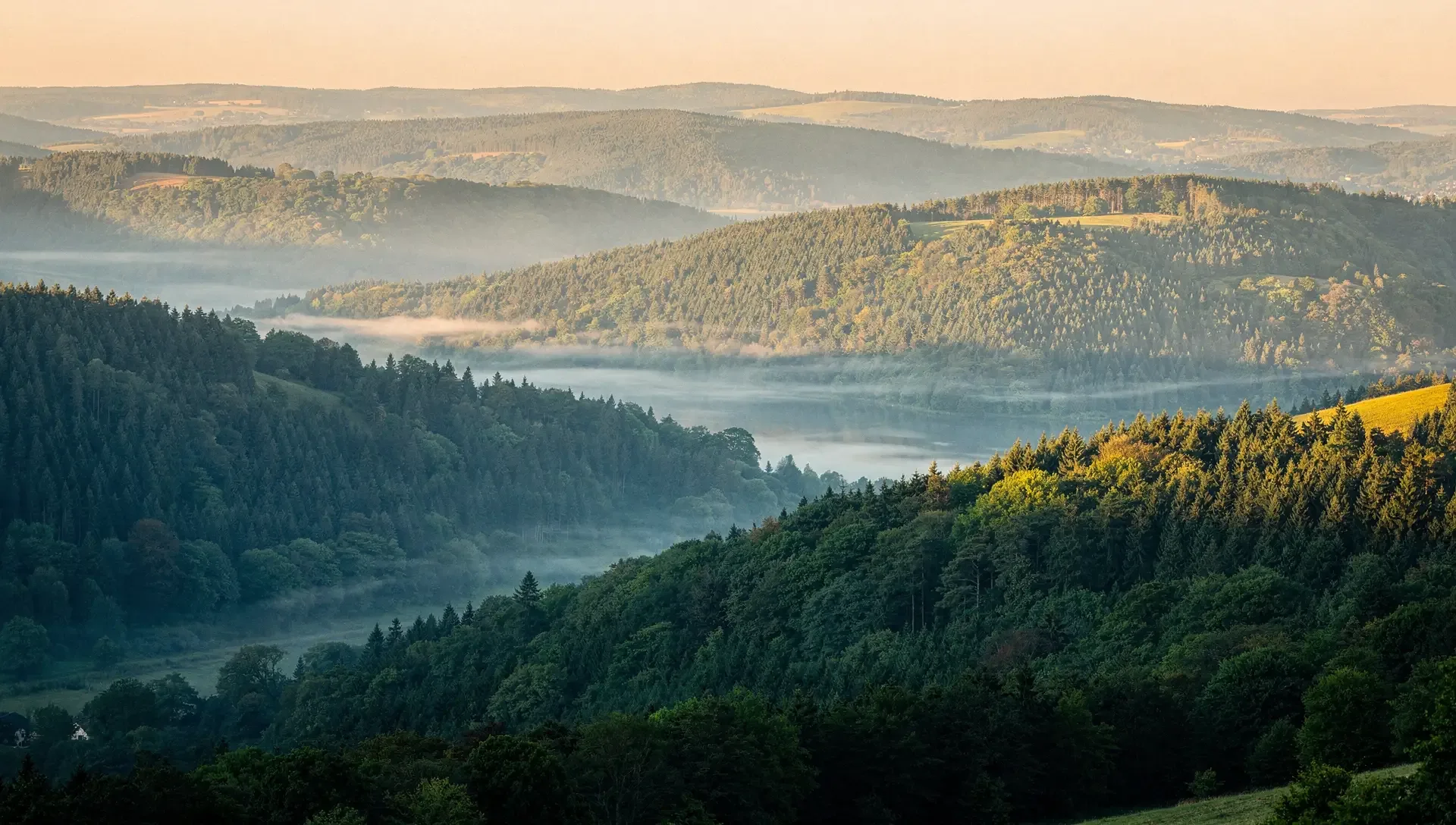 Bewaldete Hügel des Sauerlands im Morgennebel